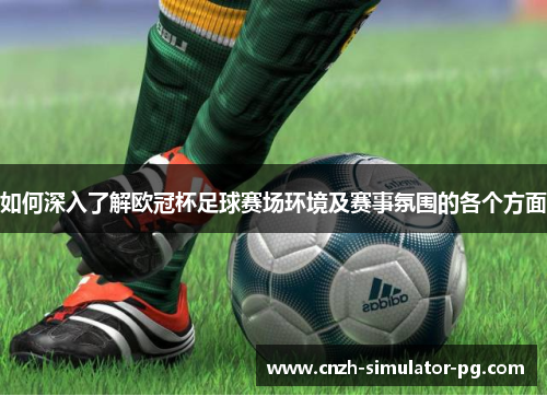 如何深入了解欧冠杯足球赛场环境及赛事氛围的各个方面