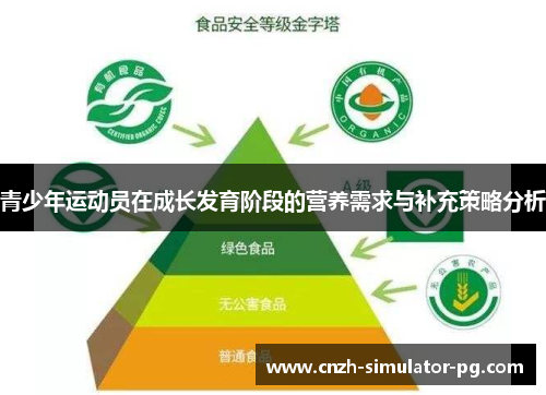 青少年运动员在成长发育阶段的营养需求与补充策略分析 青少年运动员在成长发育阶段的营养需求与补充策略分析