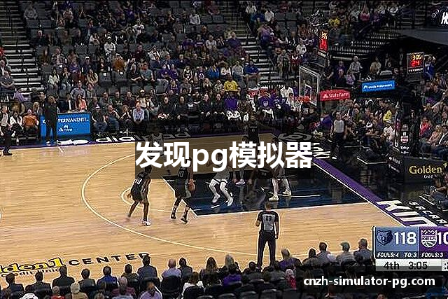 发现pg模拟器